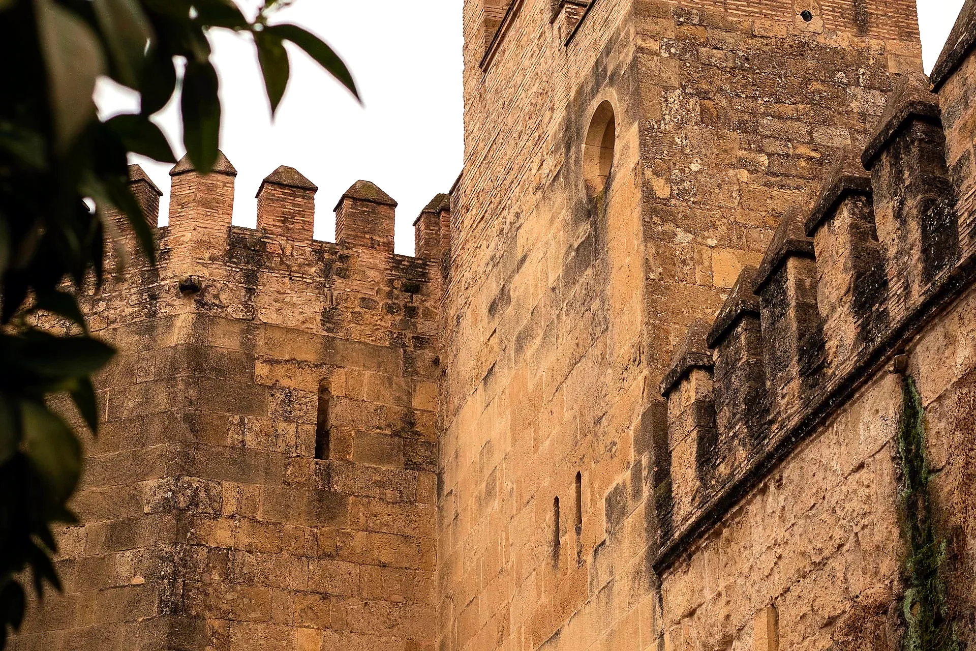 Real Alcazar Seville at dusk ticket prices 2026