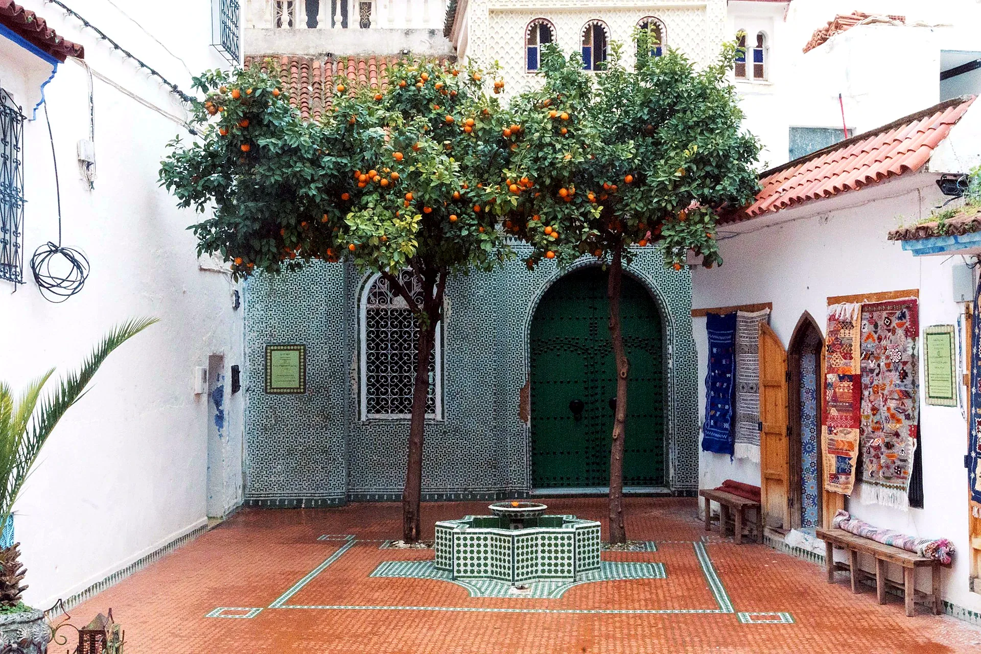 Patio de los Naranjos courtyard at Seville Cathedral guided tour starting point