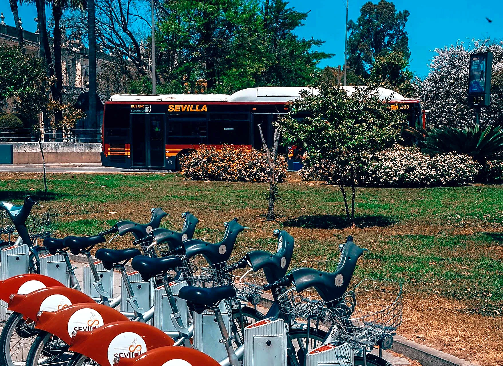 Bike rental station in Seville offering standard and electric bikes