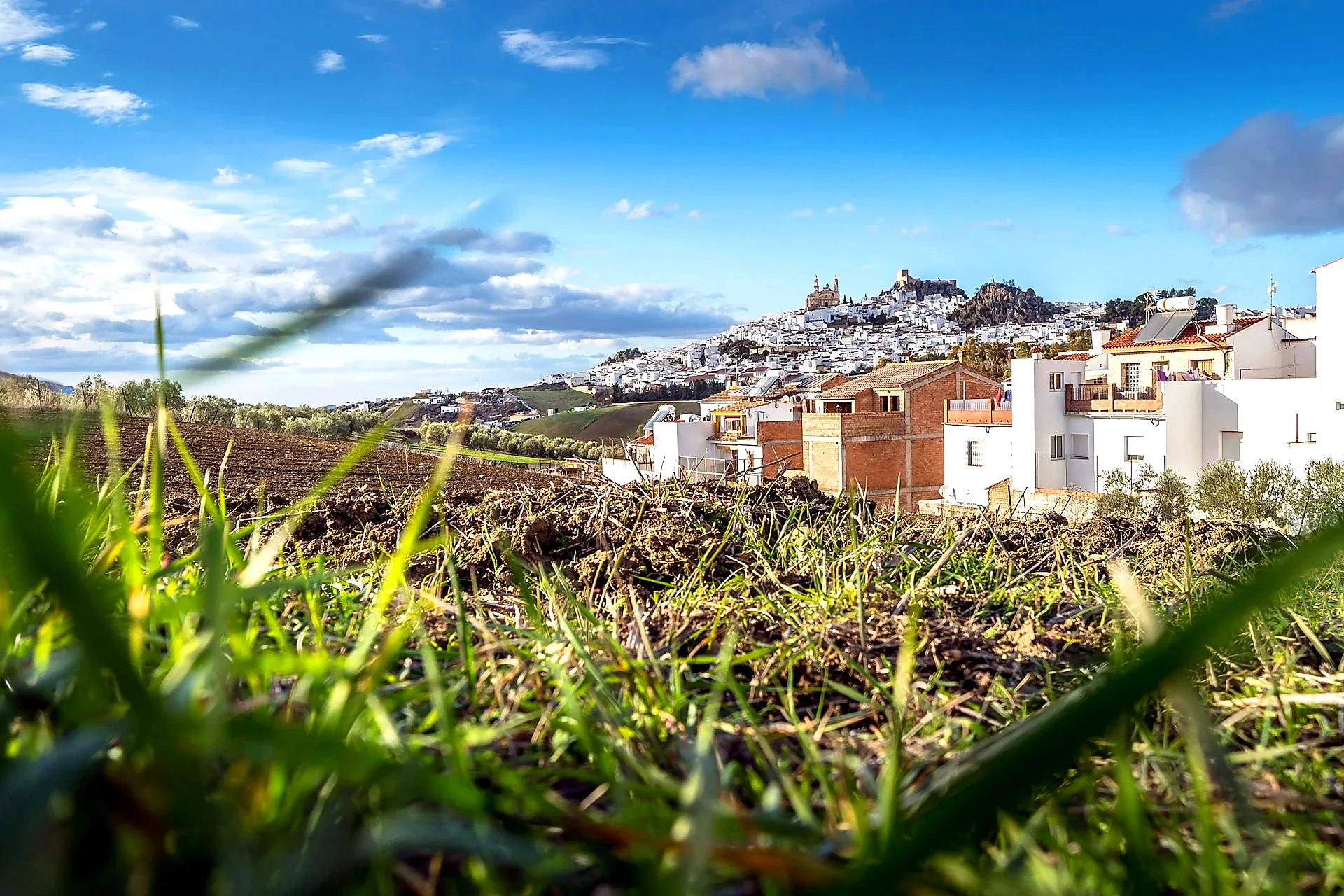 White village hillside view in Andalusia - White Villages Tour from Seville