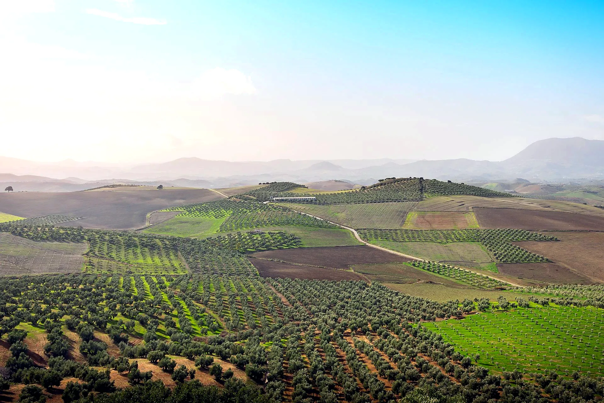 Andalusian countryside on the white villages route