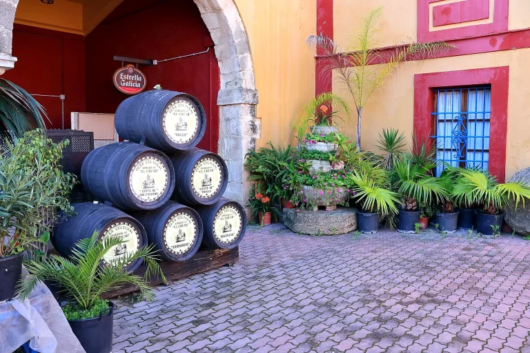 Jerez de la Frontera Day Trip from Seville: Sherry, Horses and How to Plan It