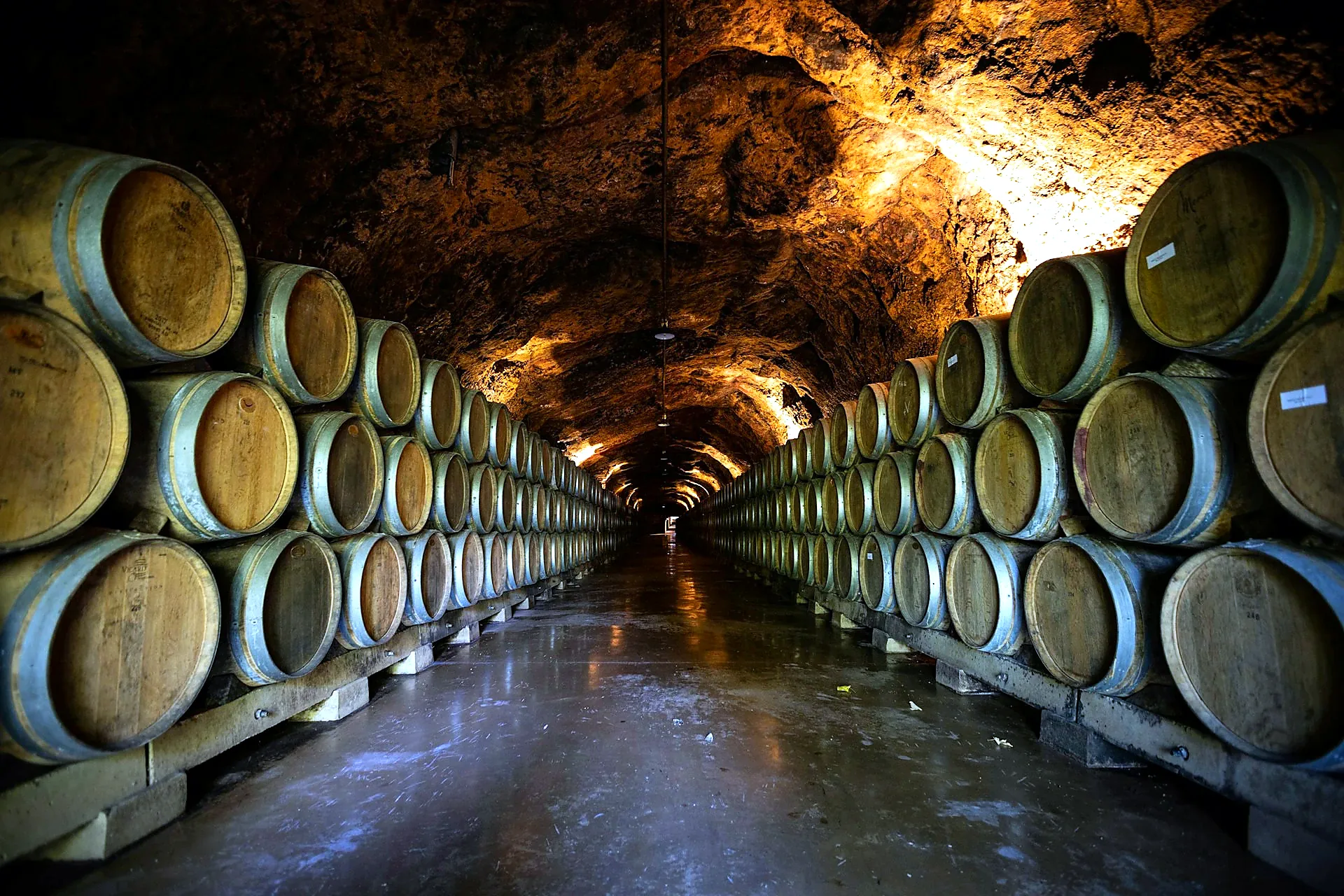 Jerez de la Frontera sherry bodega barrels and wine cellar