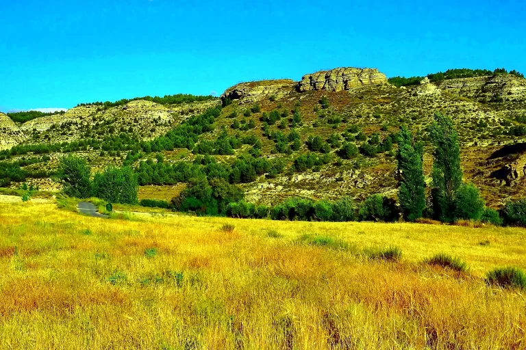 Córdoba vs Granada Day Trip from Seville: Which One Is Worth Your One Free Day?