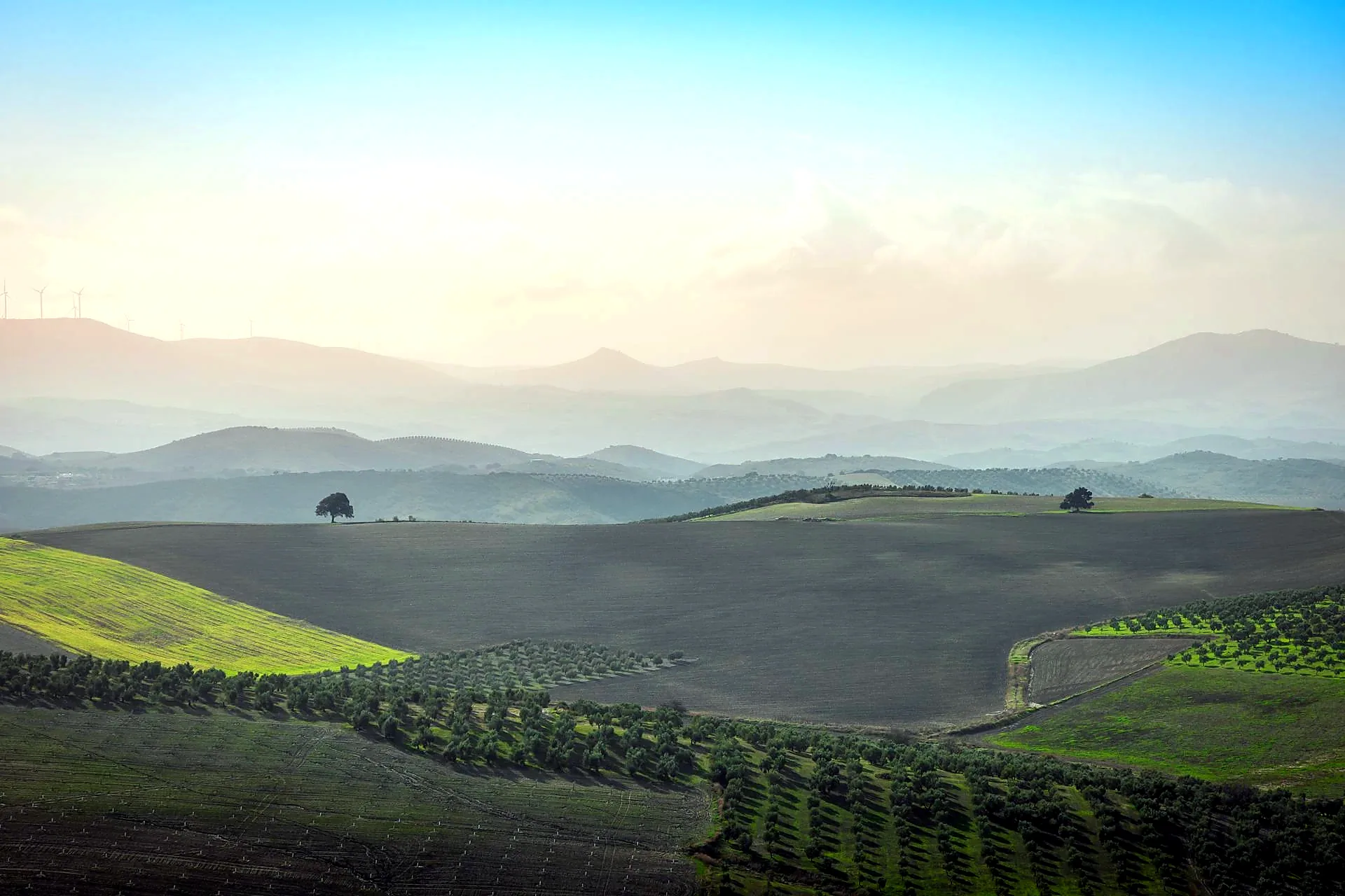 Andalusian misty hills landscape representing the variety of day trips from Seville - Best Day Trips from Seville